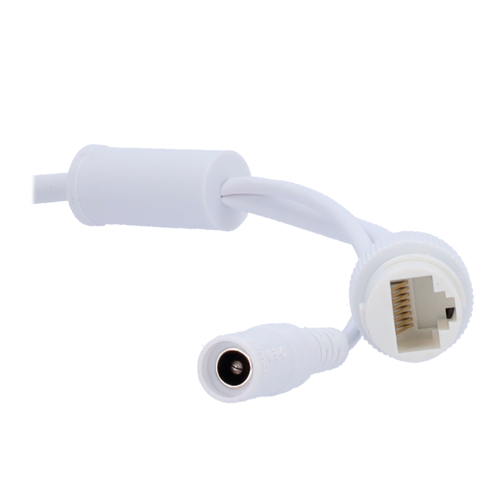 Telecamera IP Turret 4MP 2.8-12mm Safire Smart con Audio, IR e Luce Bianca PoE AI Base (IPT511ZA-4B1-DL)